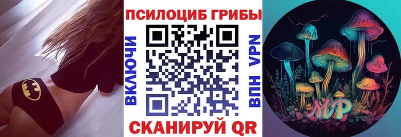 Псилоцибиновые грибы прущие грибы  сколько стоит  KRAKEN сайт  Клинцы 