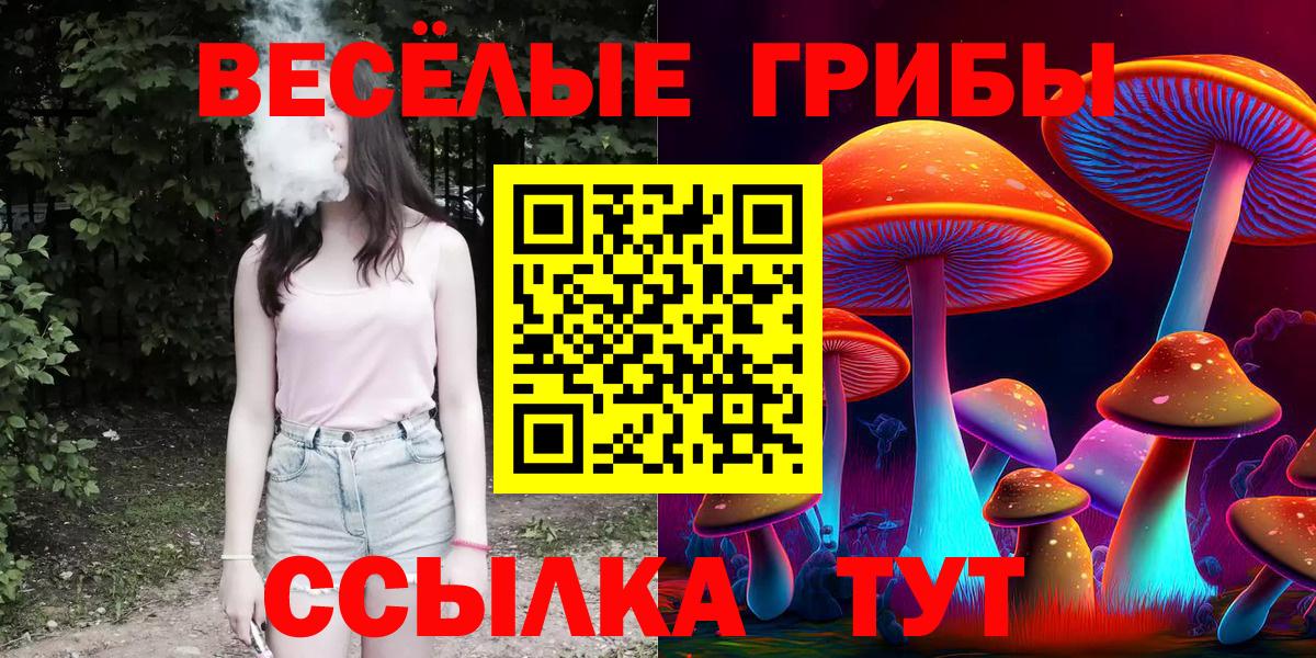 Галлюциногенные грибы ЛСД  Вход с VPN  Псилоцибиновые грибы Magic Shrooms  Клинцы 